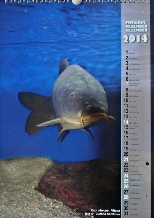 rybarske kalendare 2014 12